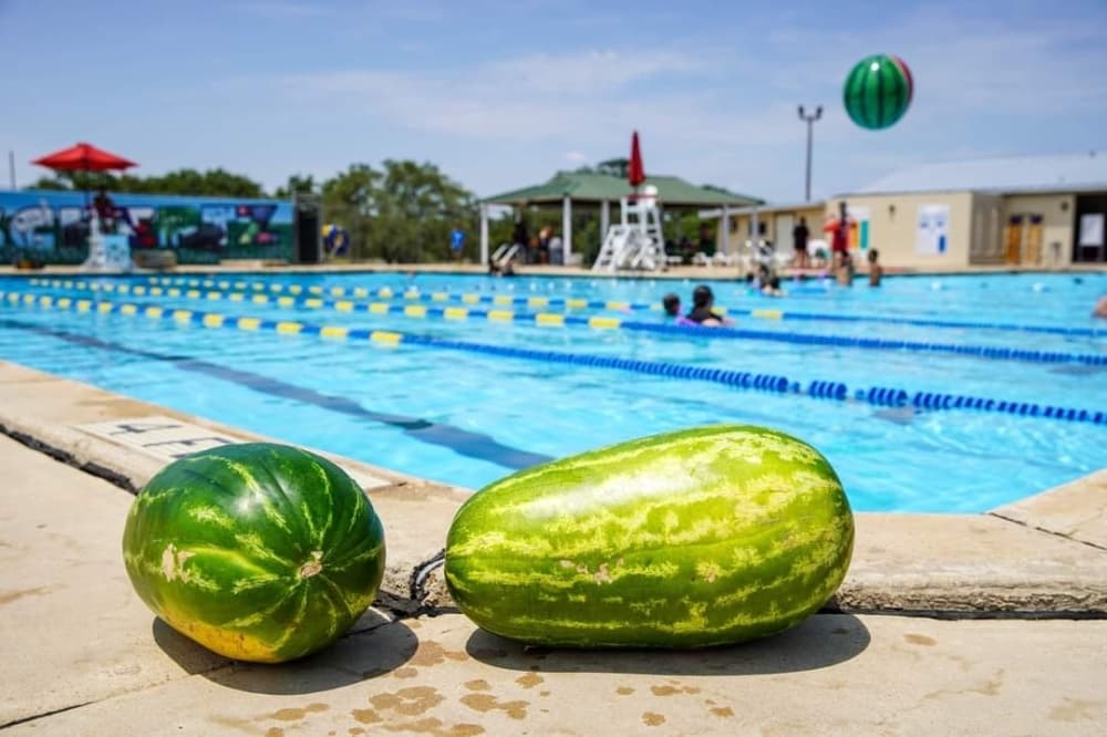 Schertz Parks & Recreation Department to host National Watermelon Day festivities