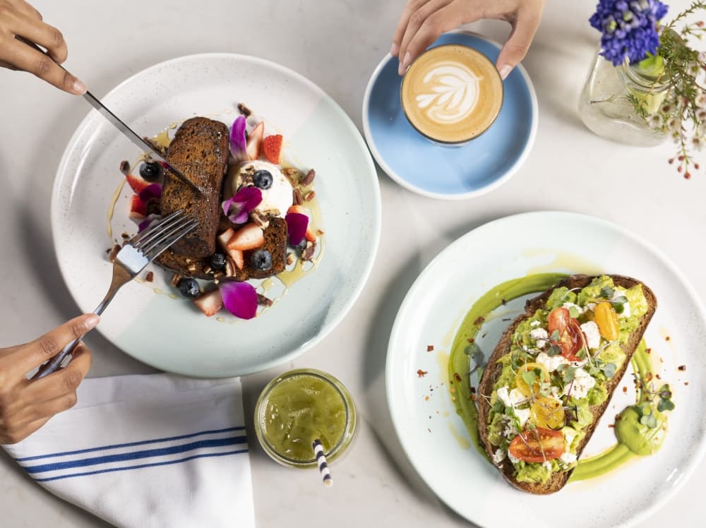White dishes with several food items on a white background including avocado toast and a cup of coffee.
