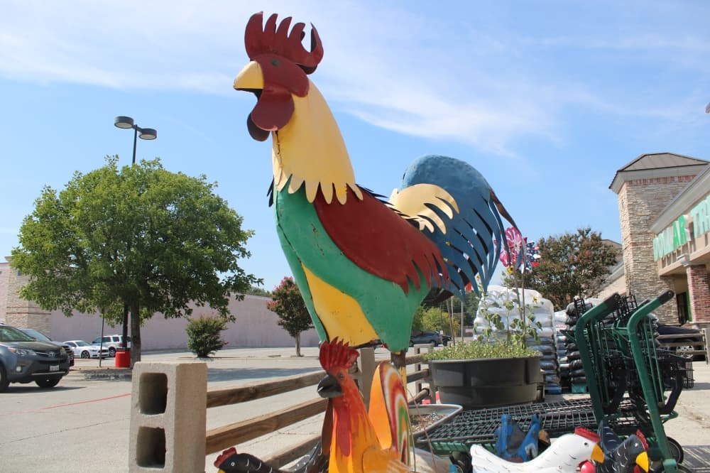 Customer service drives Rooster Home and Hardware's success in Lake Highlands