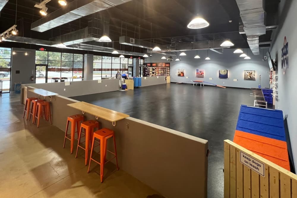Zoom Room Dog Training opens along Kuykendahl Road
