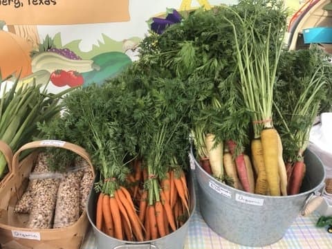 Pick fresh local produce, attend KTX Oktoberfest: 10 things to do in Katy
