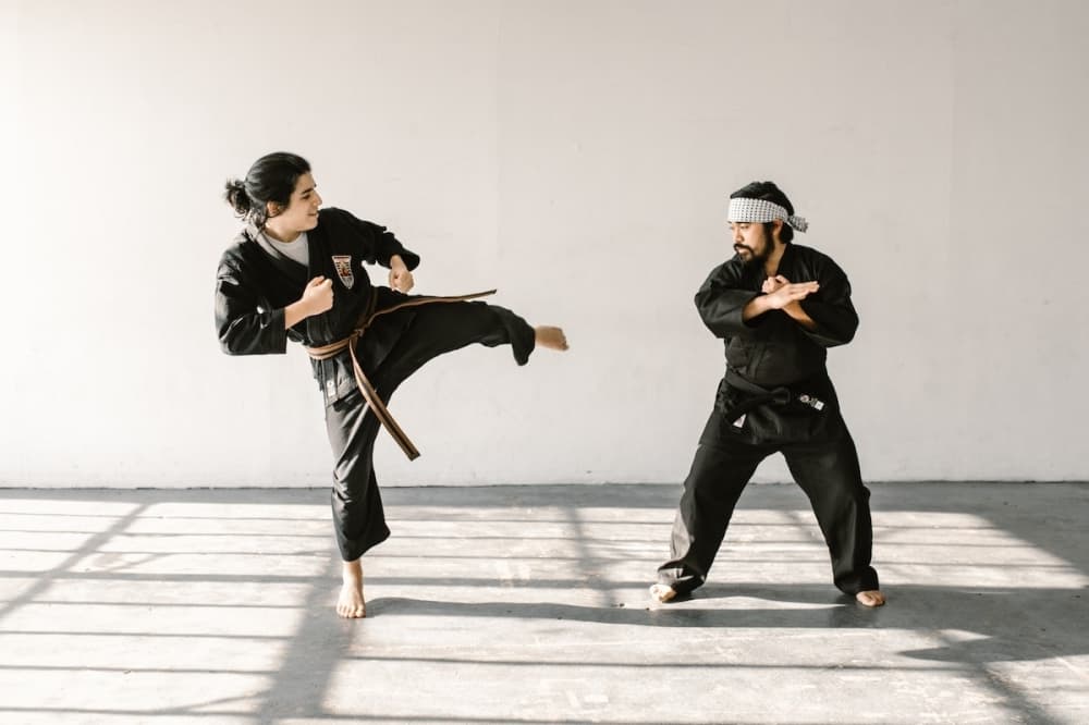 Learn jiujitsu and more at newly opened martial arts studio in Fulshear