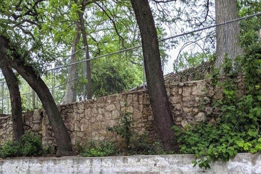 San Antonio council advances Brackenridge Park tree plan