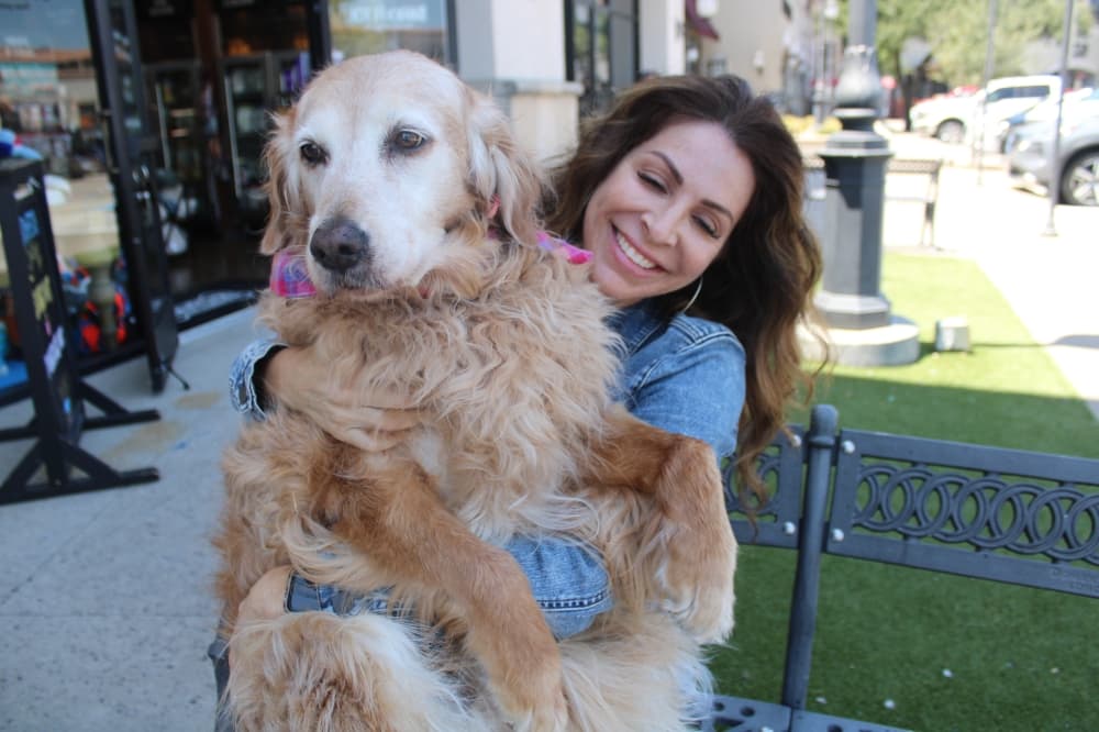 Bark n Fetch in Frisco offers high-quality food for dogs