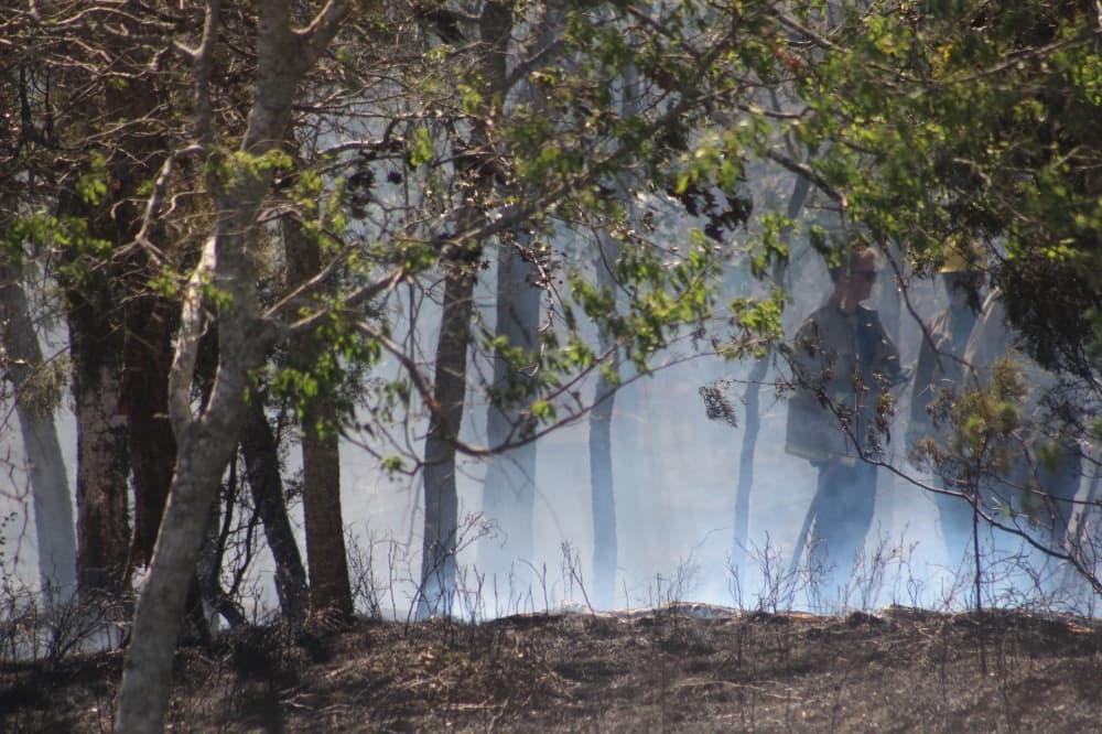 174 Texas counties under burn bans as state wildfire danger rises