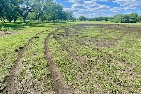 Austin officials look to address ‘poor behaviors’ in city parks, upgrade Circle C security