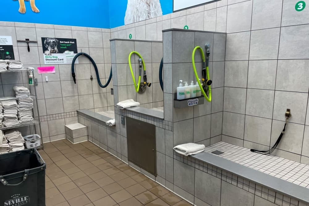 Dog Washing Station