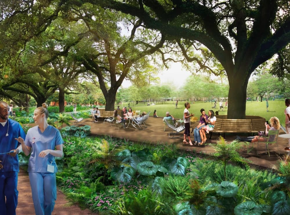 A rendering shows a series of live oak trees in a forthcoming section of Hermann Park called The Commons, slated to debut in 2024. (Courtesy Hermann Park Conservancy)