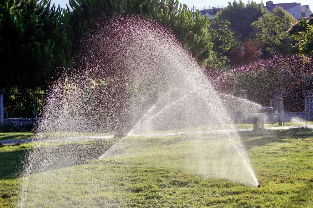 Missouri City residents urged to restrict lawn watering