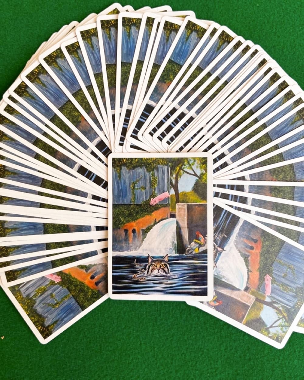 the backs of the cards