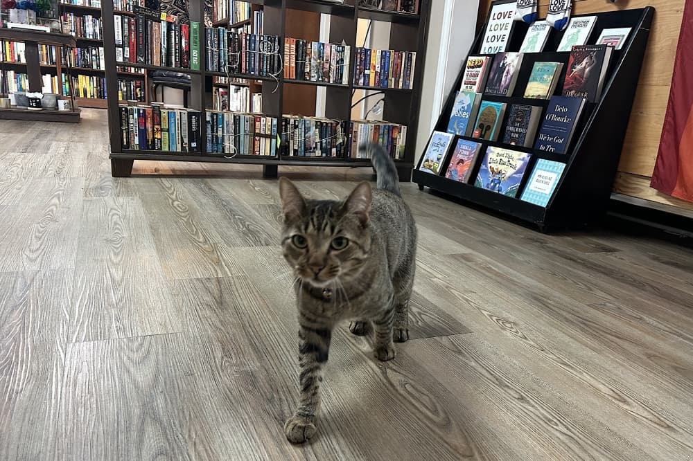 Pflugerville book shop moves with help from community