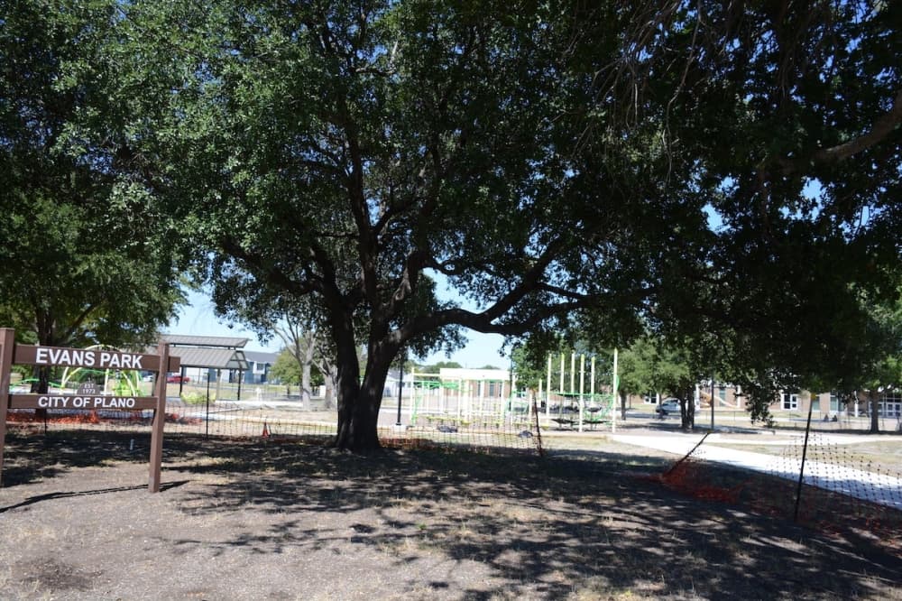 Work on renovations to Plano’s Evans Park to resume