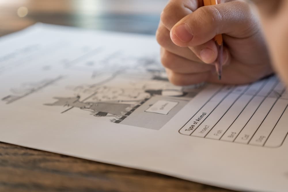 See how Coppell ISD performed on redesigned STAAR this spring