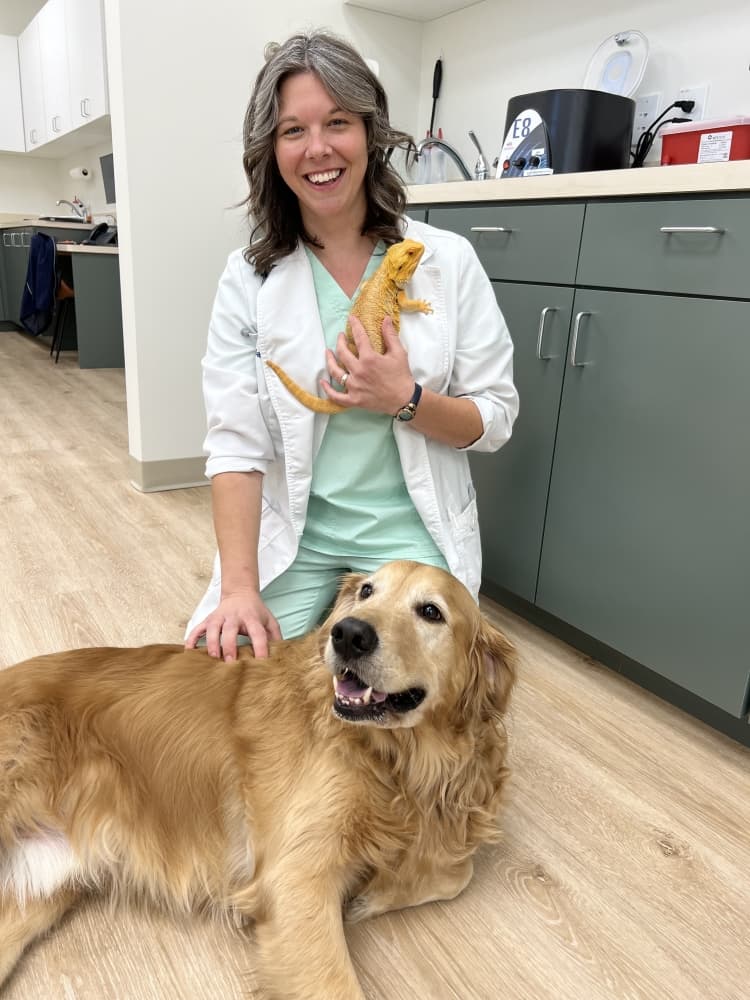 Dr. Sarah Miller has been practicing veterinary medicine for 13 years. (Zacharia Washington/Community Impact)