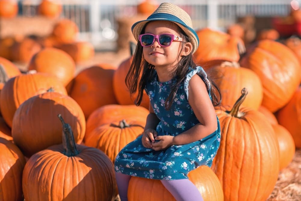 Dripping Springs Pumpkin Festival to celebrate final year at current location