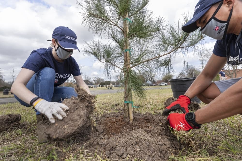 Houston Endowment grants $8M for tree planting, green space effort throughout Houston