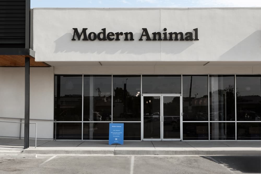 The exterior of Lakewood's Modern Animal Clinic