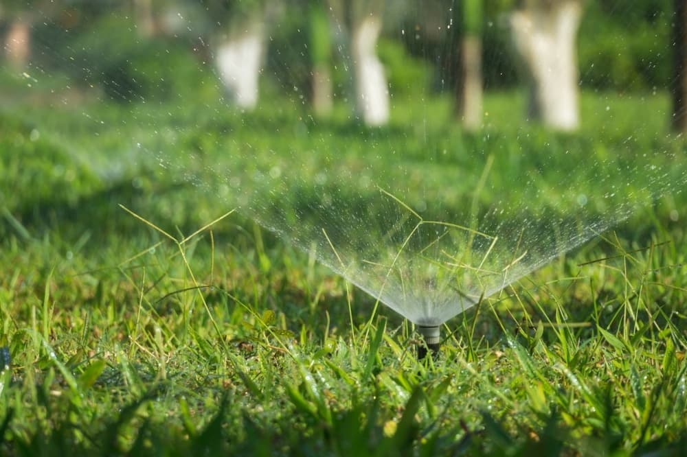 Jersey Village downgrades drought response to Stage 1; lawn-watering restrictions in place