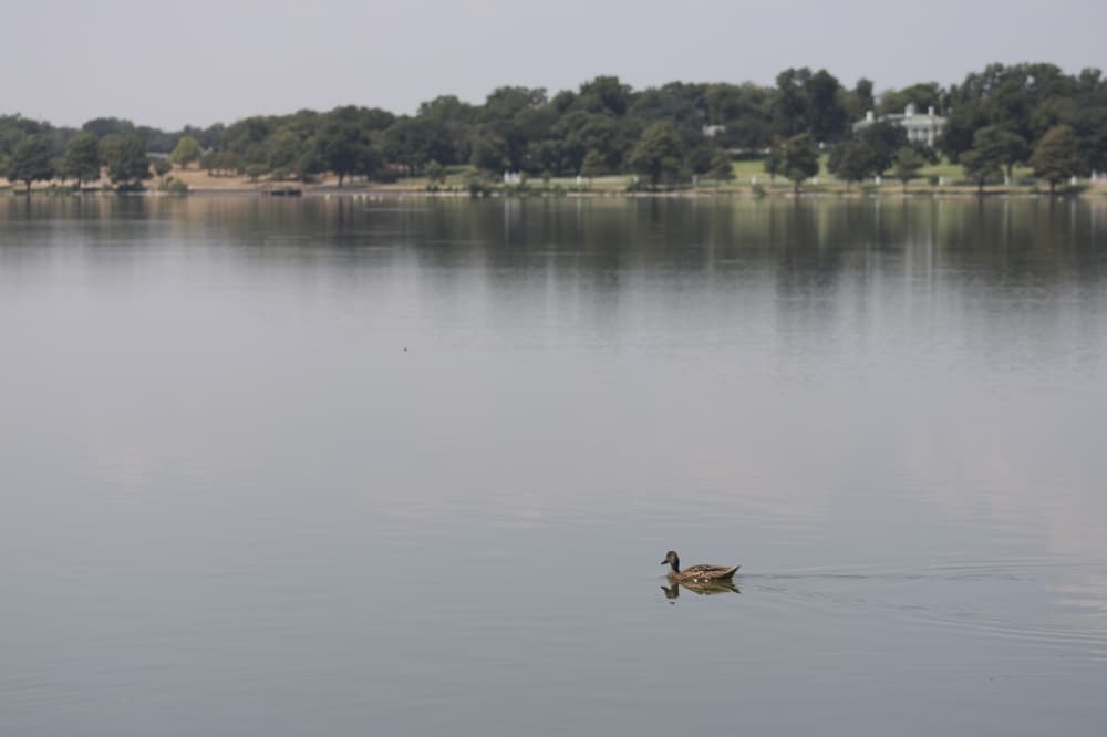 Dallas updating White Rock Lake Park’s master plan