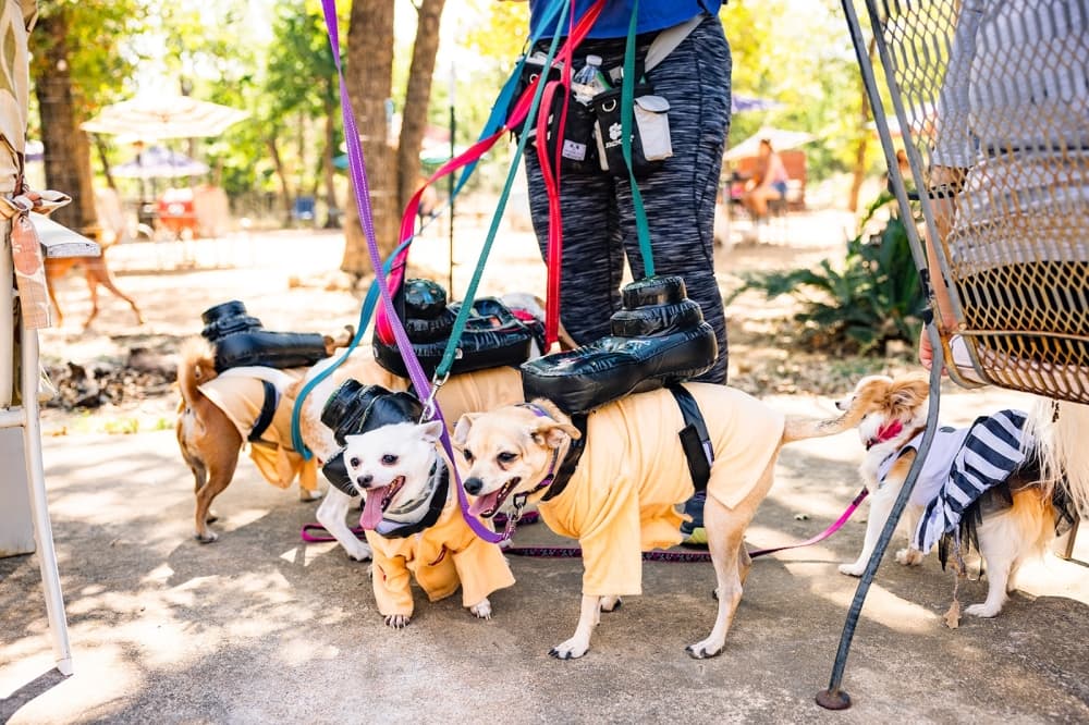 Check out these 8 upcoming community-focused events in Cedar Park area