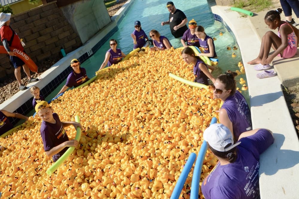 Rubber ducks in the lake with people
