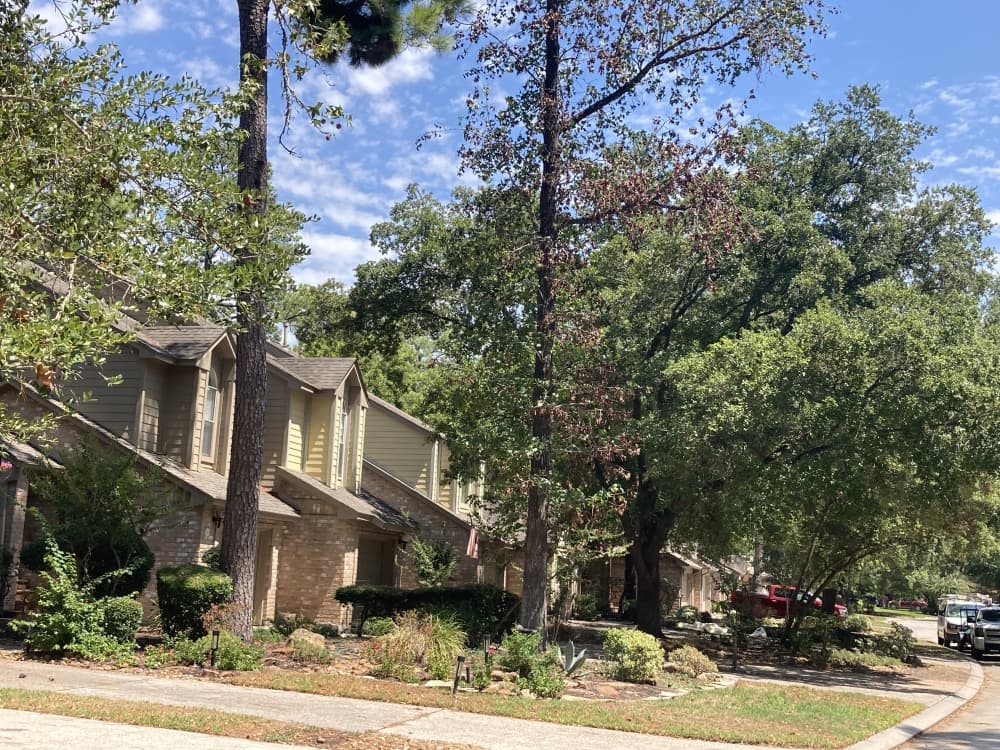 See the latest residential real estate data in The Woodlands area for August