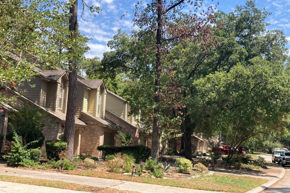Learn about September's featured neighborhood, Panther Creek in The Woodlands