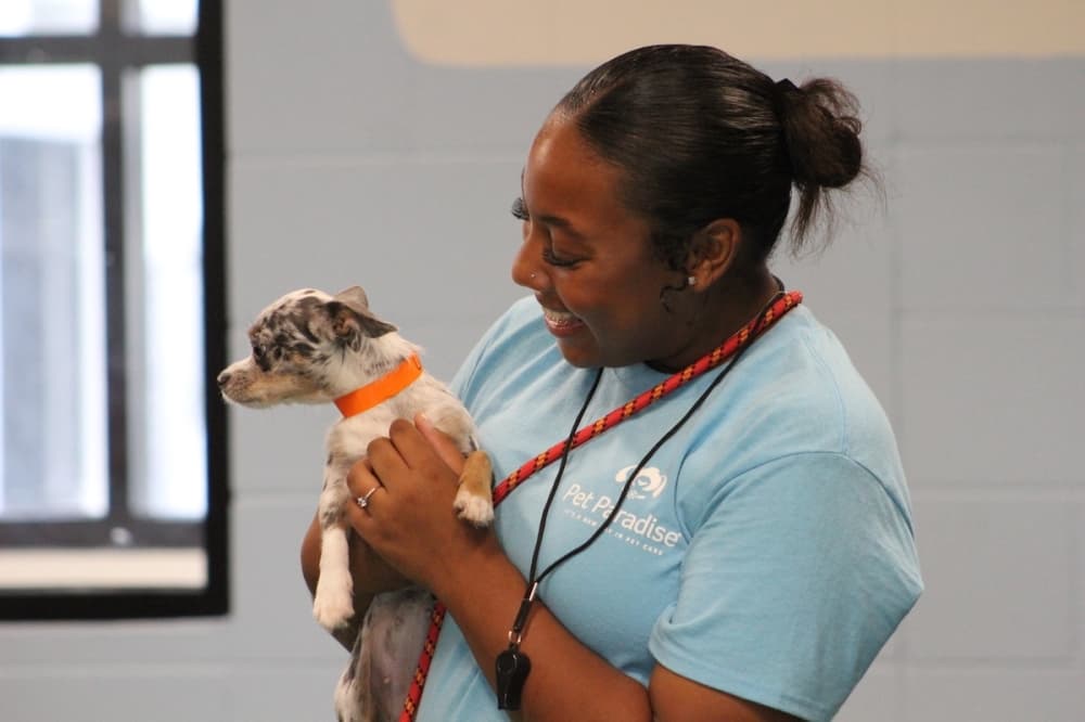 Laisha Mojica, a Pet Paradise employee, holding a small dog. (Amira Van Leeuwen/Community Impact)