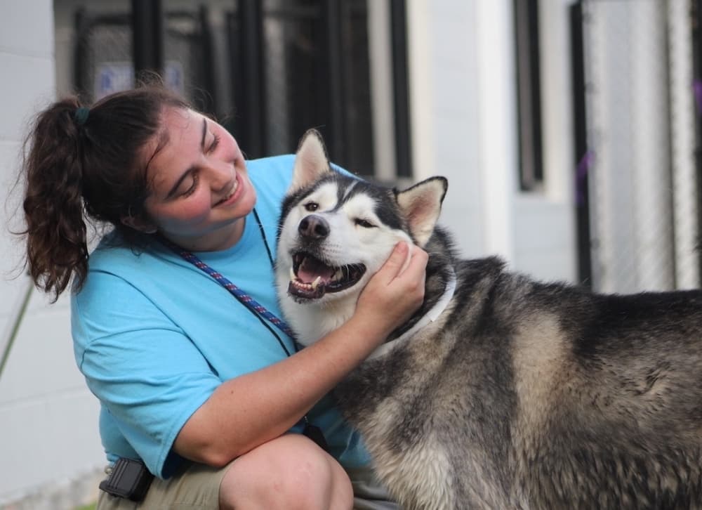 Pet Paradise now open at Kohlers Crossing in Kyle