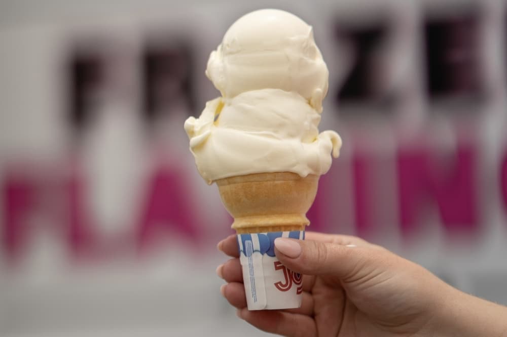 Frozen Flamingo cone of vanilla custard
