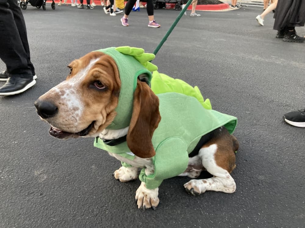 Check out September, October events in Lake Travis-Westlake