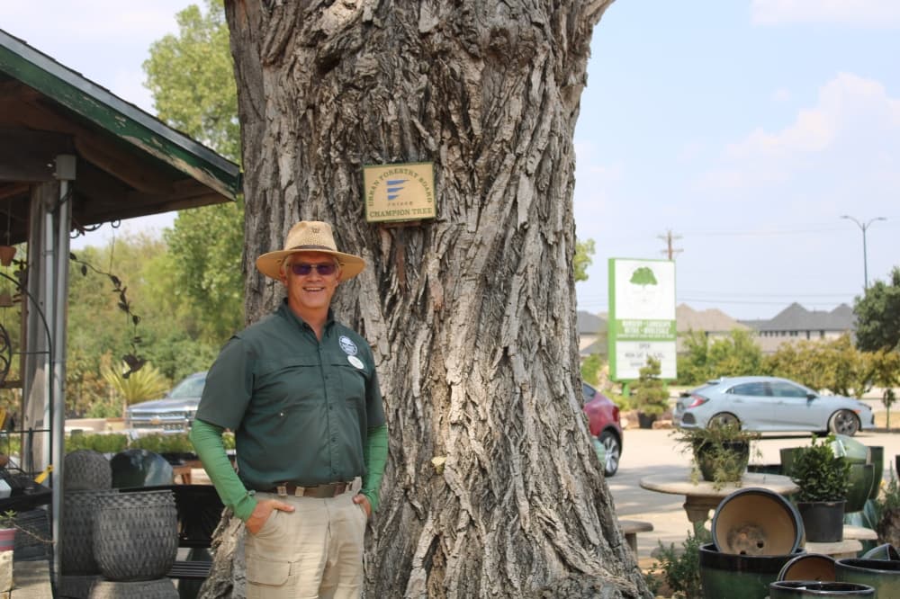 Man stands in front of cottonwood tree. 