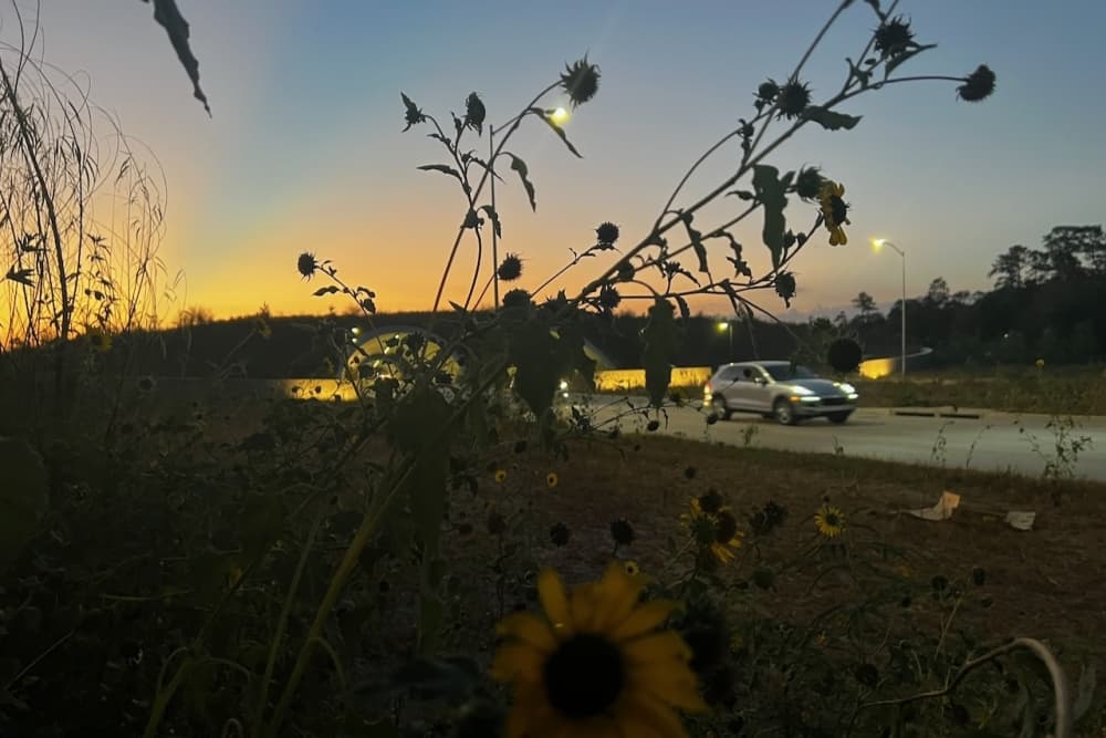 Harris County Precinct 4 investing $170M toward infrastructure projects