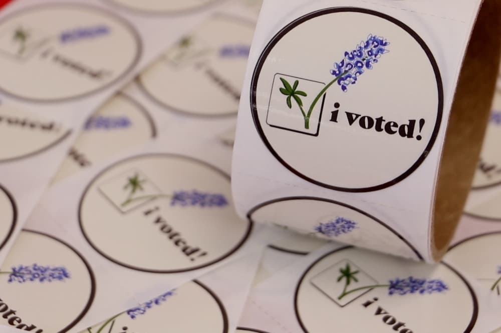 Everything you need to know about the upcoming November election in Lake Travis-Westlake