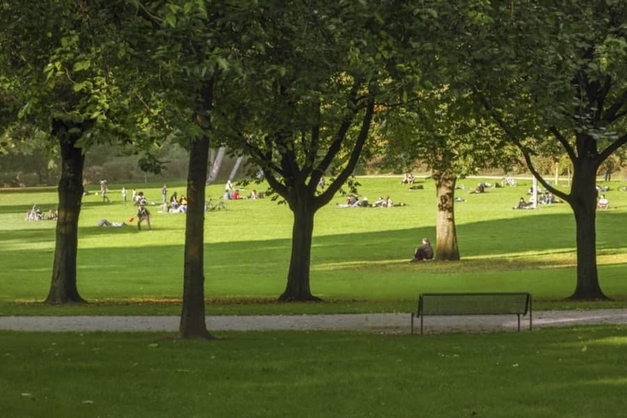 Celina park to receive 74K for new trees