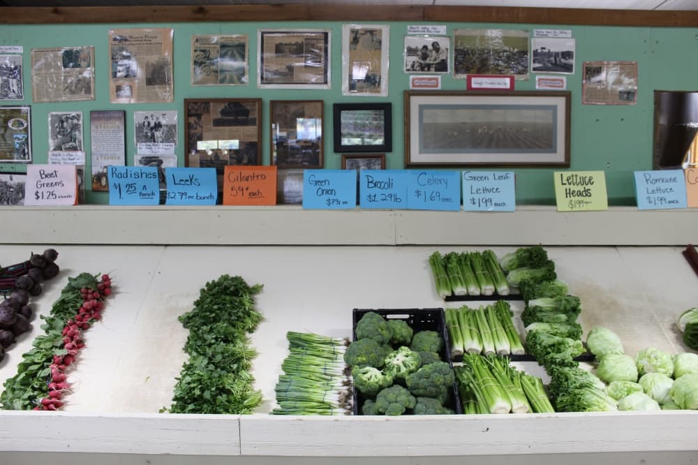 The Froberg family has been farming since 1896 when they provided fruits for jellies served to train passengers coming through Alvin. (Rachel Leland/Community Impact)