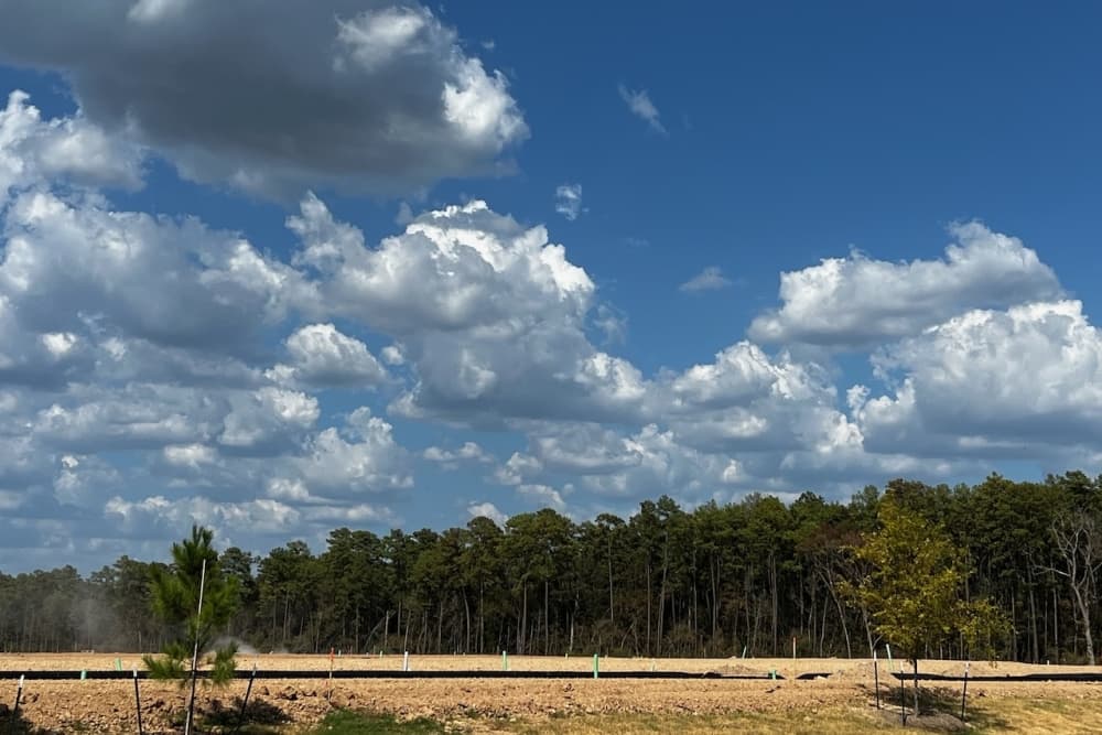 This is a photo of new housing development.