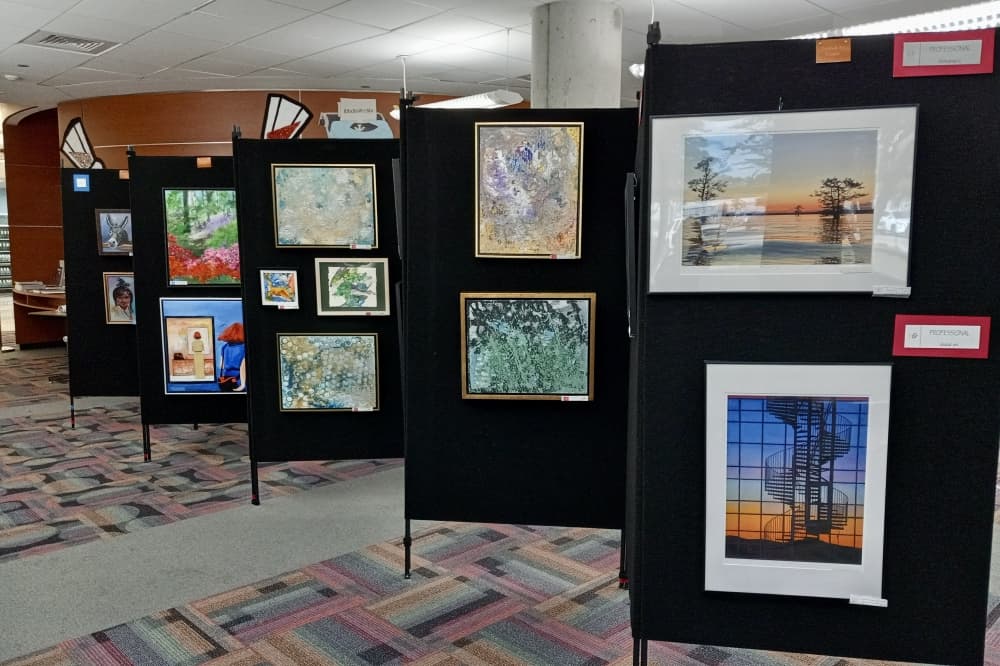 2D Art work displayed by The Tomball Art League