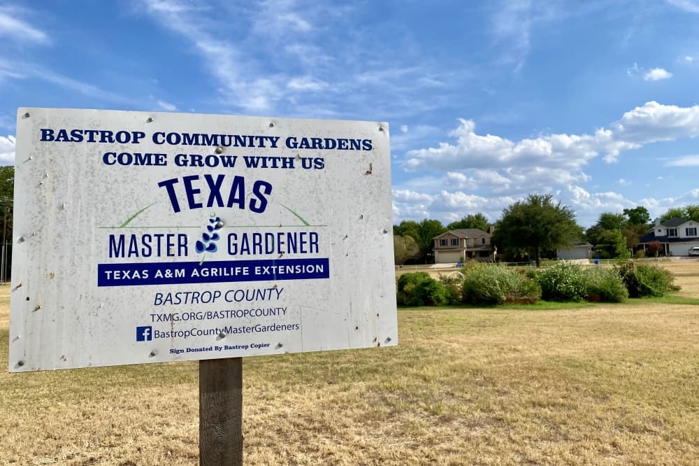 Sprouting soon in Bastrop: New greenhouse planned to cultivate community