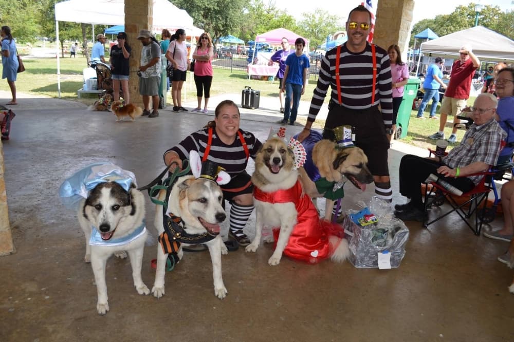 Pet Pawlooza to encourage animal adoption in Live Oak on Oct. 7