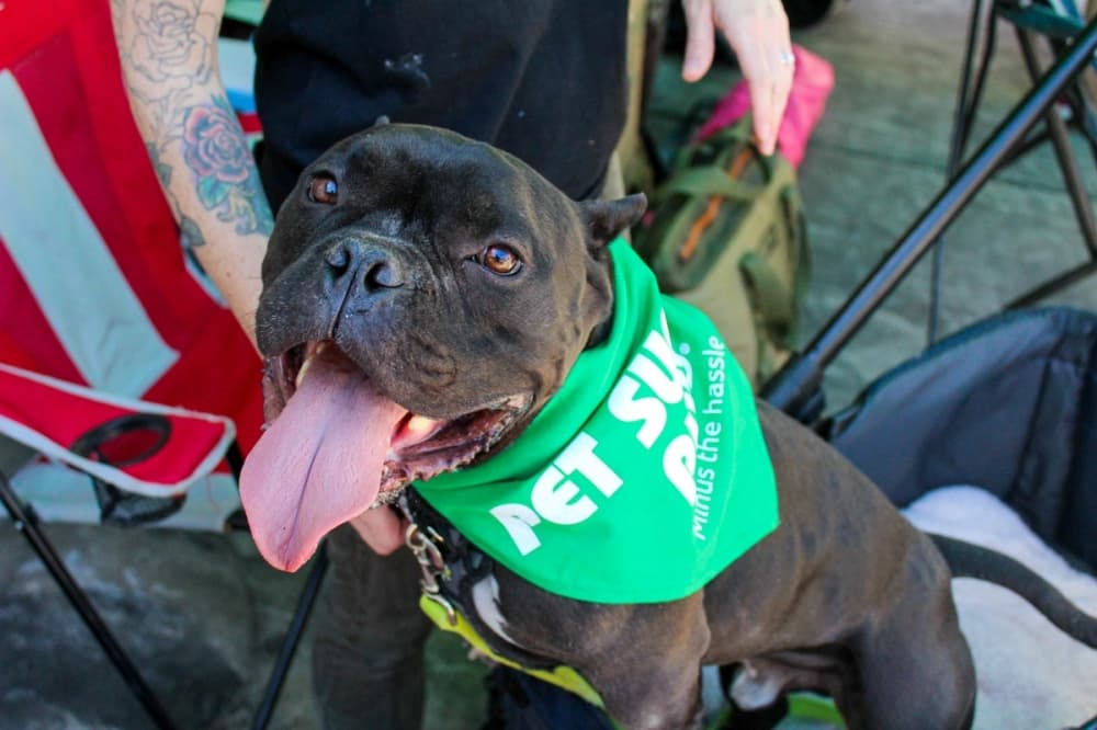 Pet Supplies Plus now open in New Braunfels