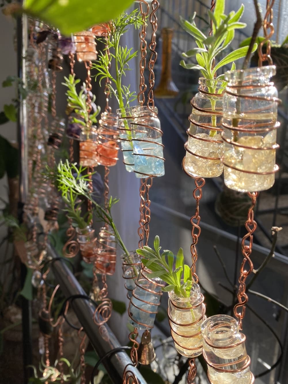 Hanging propagaton chains in a window.