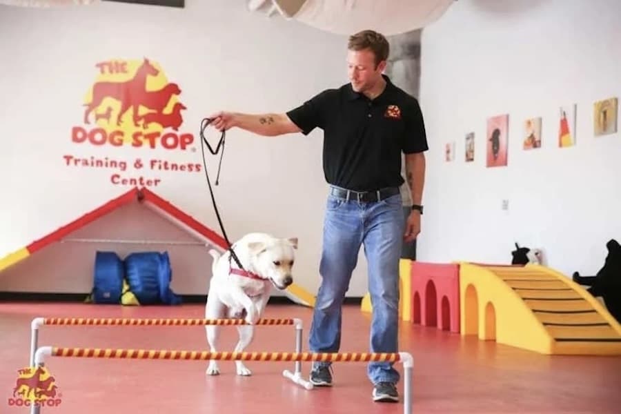 The Dog Stop to offer services in Argyle