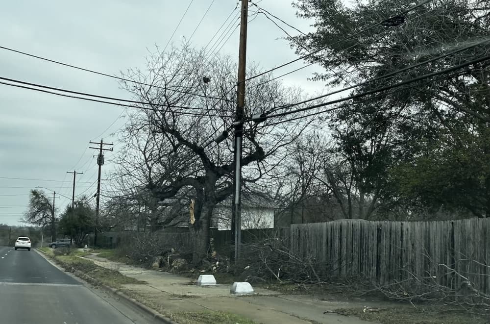 Austin Energy aims to ramp up tree trimming after years of 'playing catch-up'