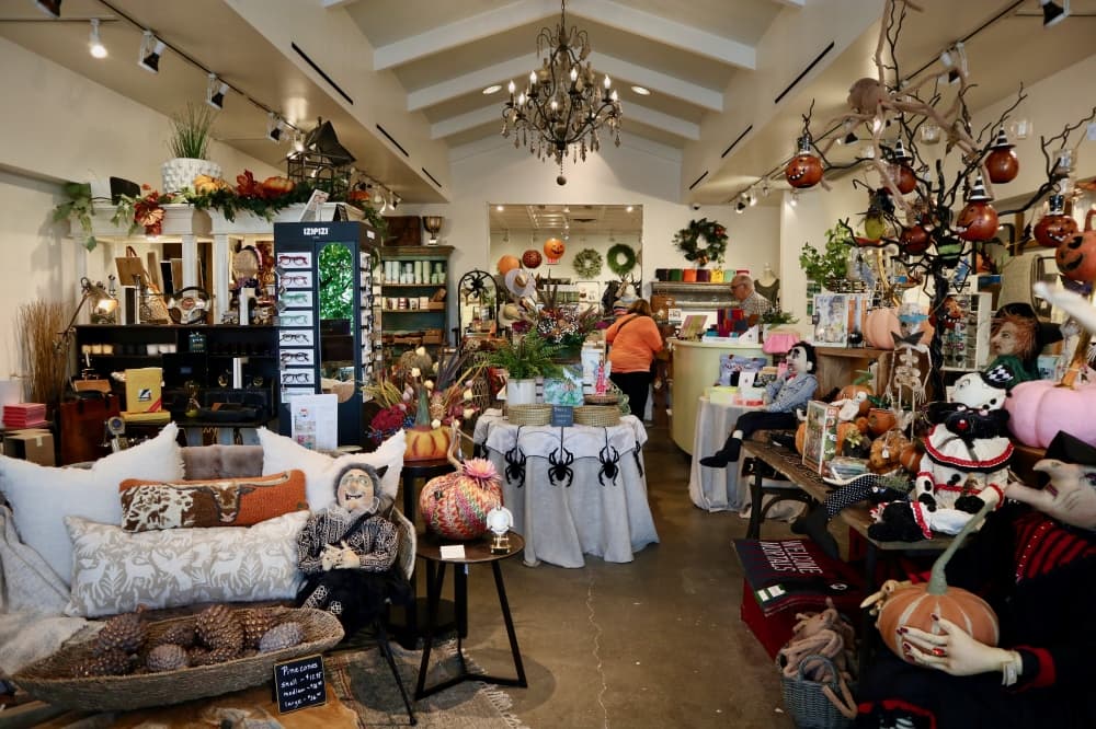 interior shot of lizzyli