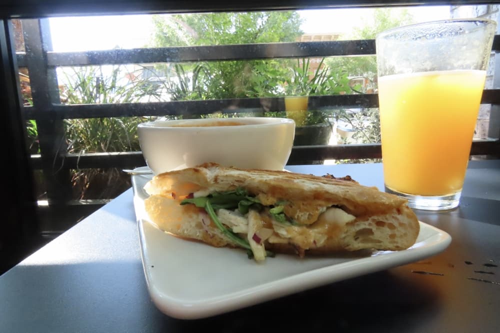 Chicken and tomato aioli panini sandwich with side of tomato soup. 