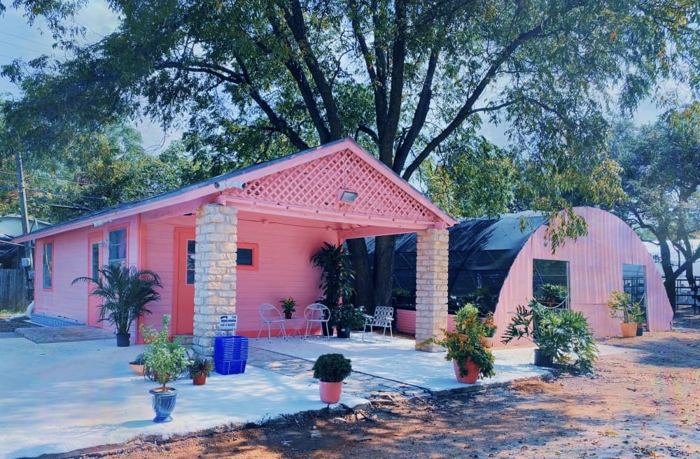 Pink Flamingo Plant Co. keeps Austin weird through local art, greenhouse space