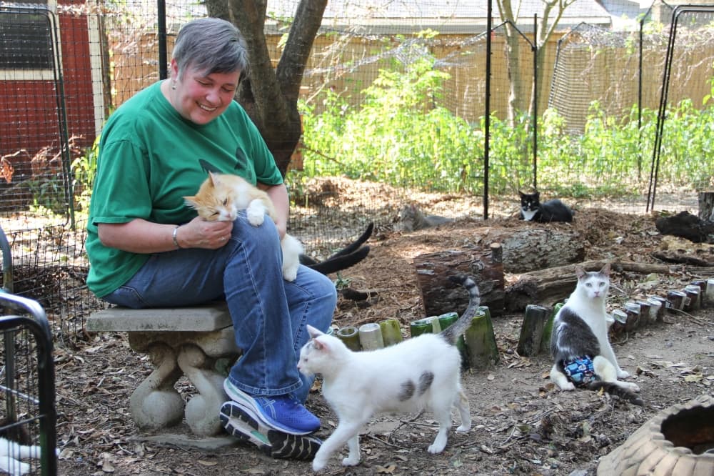 A shot of Mimi Baker, executive director of Copper's Cat Commune