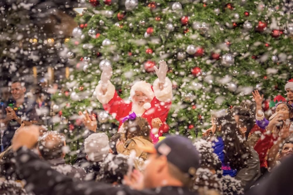 9 events to attend in Cy-Fair this November