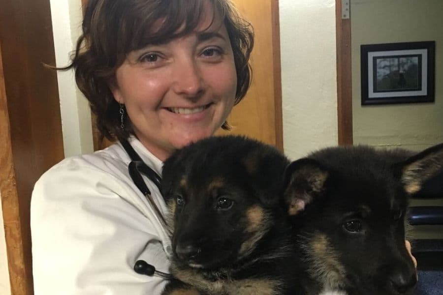 PawsVet offers mobile veterinarian services in North San Antonio